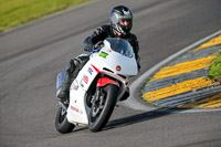 PJ-Motorsport-2019;anglesey-no-limits-trackday;anglesey-photographs;anglesey-trackday-photographs;enduro-digital-images;event-digital-images;eventdigitalimages;no-limits-trackdays;peter-wileman-photography;racing-digital-images;trac-mon;trackday-digital-images;trackday-photos;ty-croes